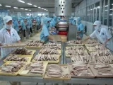 Cắt giảm tối đa thủ tục và điều kiện đầu tư kinh doanh