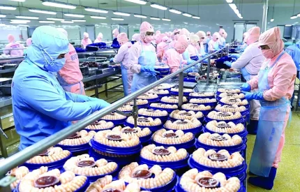 Ấn Độ hướng tới chứng nhận MSC cho 10 loài thủy sản