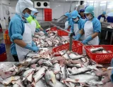 Việt Nam lần đầu tổ chức triển lãm quốc tế khoa học công nghệ thủy sản