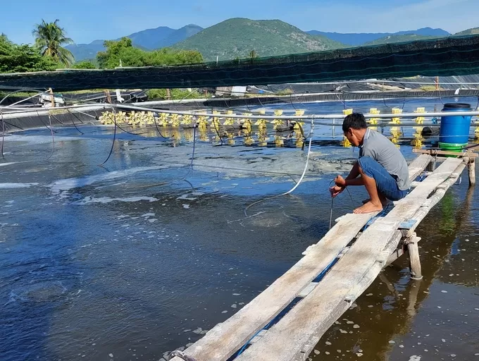 Giống thủy sản: Nền móng cho mục tiêu xuất khẩu 12 tỉ USD