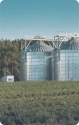 Chăm sóc vật nuôi và duy trì các hoạt động chăn nuôi chất lượng.