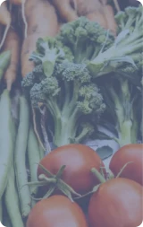 Thức ăn & đồ uống chất lượng đến mọi nơi