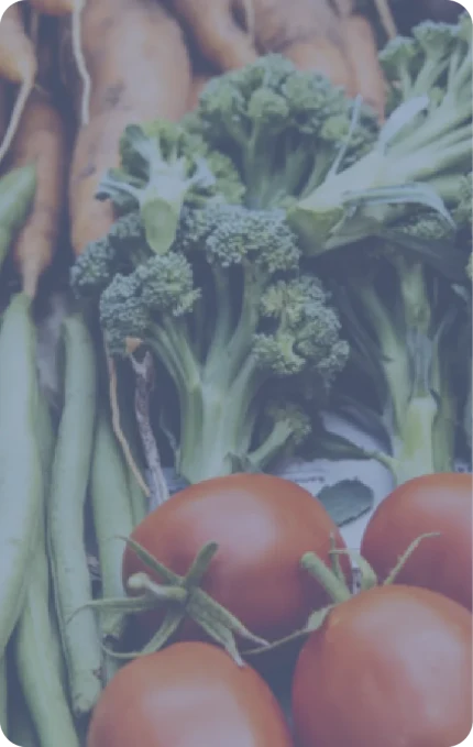 Thức ăn & đồ uống chất lượng đến mọi nơi