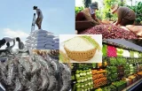 Đơn giản hóa thủ tục hành chính về nông nghiệp và môi trường
