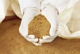 Giá bột cá Trung Quốc tăng mạnh sau khi Peru kết thúc sớm mùa đánh bắt