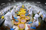 Thế hệ kế thừa đưa cá tra Việt Nam bước sang giai đoạn phát triển mới