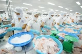 Thị trường nội địa - 'Thành trì dài hạn' của cá tra Việt Nam