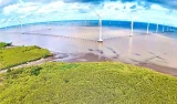 Cà Mau tính chuyện xuất khẩu điện sạch ra thế giới