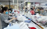 Xuất khẩu với hành trình vươn mình, khẳng định vị thế