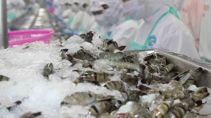 Vượt Mỹ, TQ chi hơn 1 tỷ USD mua sản vật dưới nước của VN: Nước ta có công nghệ chế biến dẫn đầu thế giới