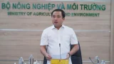 Thị trường gạo Việt Nam không chịu tác động lớn nhờ dự trữ và thị trường mới
