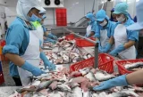 Xuất khẩu thủy sản năm 2026 được dự báo đối diện nhiều khó khăn