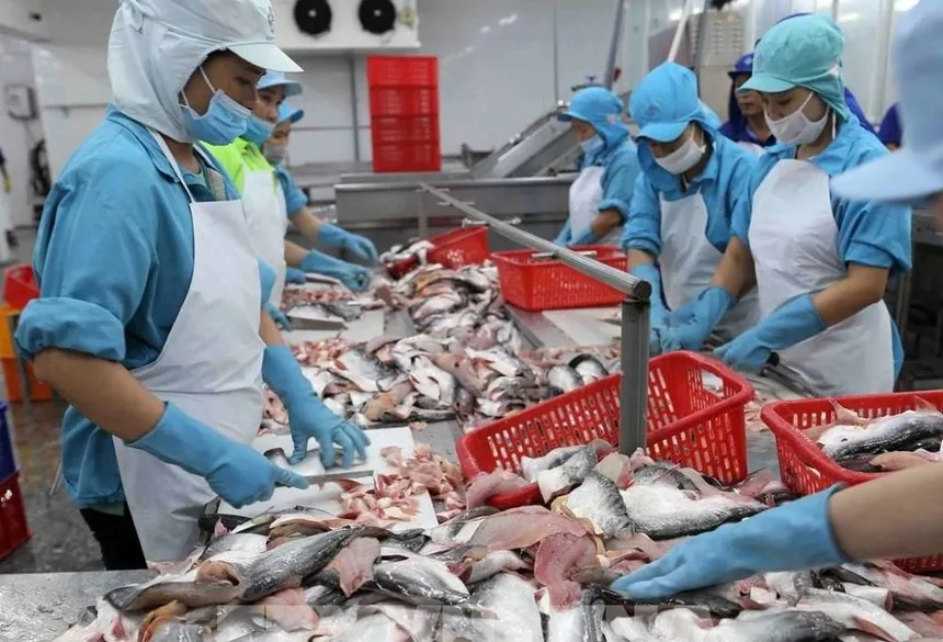 Xuất khẩu thủy sản năm 2026 được dự báo đối diện nhiều khó khăn