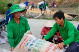 Thủ tướng yêu cầu tăng tín dụng, mở rộng thị trường xuất khẩu gạo