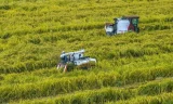 Trung Quốc ứng dụng AI cách mạng hóa trồng trọt