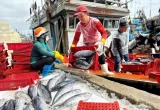 Mỹ từ chối công nhận 12 nghề khai thác hải sản, Bộ Công Thương gửi đề nghị xem xét
