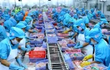 Xuất khẩu thủy sản Việt Nam sang Đài Loan giữ đà tăng trưởng