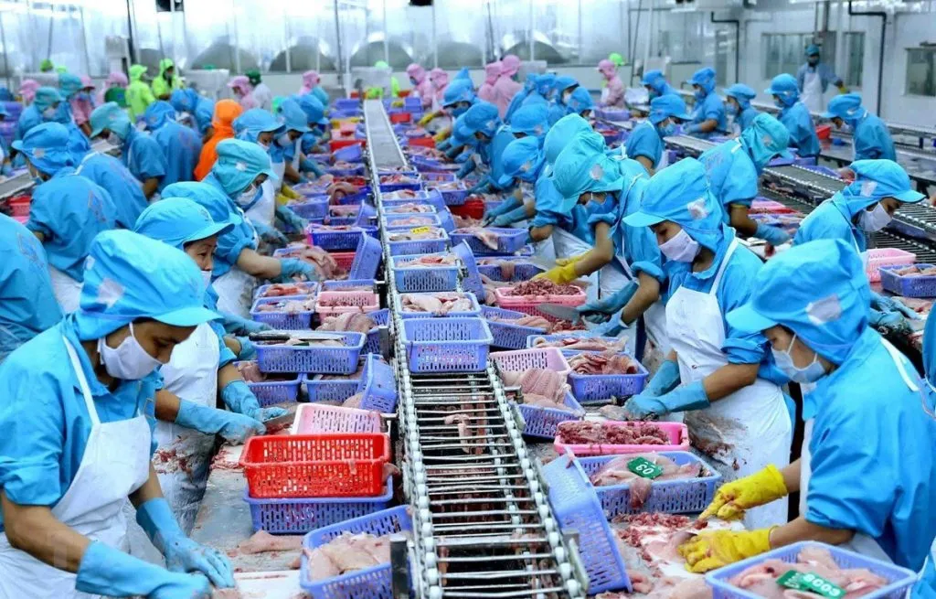 Xuất khẩu thủy sản Việt Nam sang Đài Loan giữ đà tăng trưởng