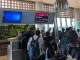 Cuộc đua nhập cảnh vào Mỹ của những người mang visa H1B