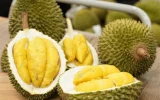 Sầu riêng được kỳ vọng tạo cú hích giúp ngành rau quả kịp về đích
