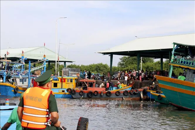 Lâm Đồng: Cao điểm kiểm tra hoạt động thu mua, xuất khẩu thủy sản sang EU