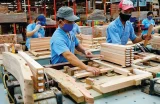 Hướng đi mới cho xuất khẩu gỗ