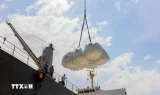 Xuất khẩu gạo trầm lắng, Hiệp hội Lương thực kêu gọi doanh nghiệp bình tĩnh