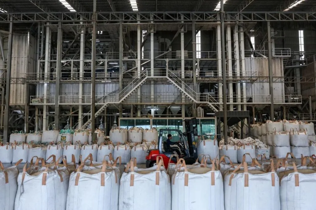 Giá gạo xuất khẩu của Thái Lan xuống mức thấp nhất trong gần 18 năm