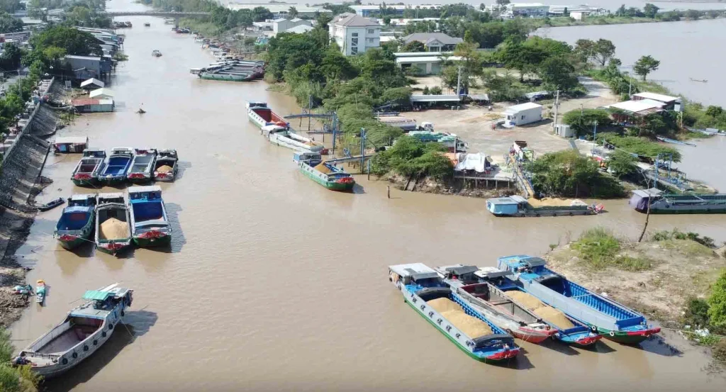 Việt Nam chi 1,5 tỉ USD nhập gạo, có đáng lo?