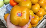 Hồng Đà Lạt rẻ hơn hàng nhập, áp đảo chợ Việt