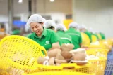 Việt Nam tăng tốc xuất khẩu sang Campuchia