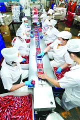 Doanh nghiệp 'tất bật' đơn hàng xuất khẩu cuối năm