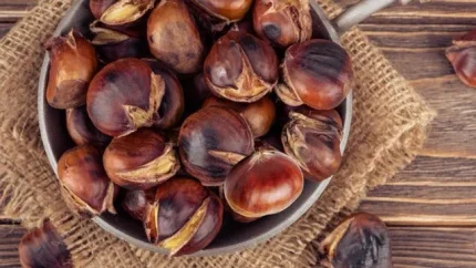 Hạt dẻ giàu chất béo, tinh bột phức nên tốt cho tiêu hóa. Ảnh đồ hoạ: Hương Sơn