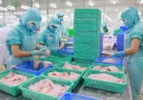 Miền Tây thiếu người, có nên nhập khẩu lao động?