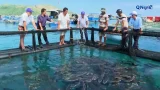 Quảng Ngãi nâng cao giá trị sản phẩm thủy sản