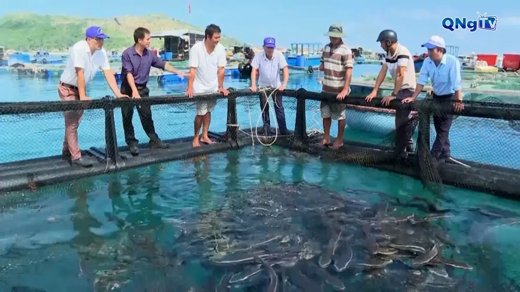 Quảng Ngãi nâng cao giá trị sản phẩm thủy sản