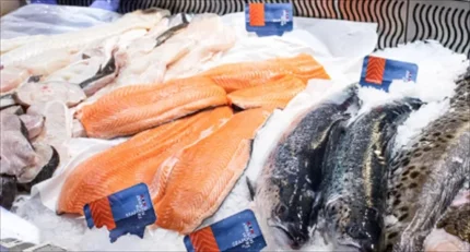 Hình ảnh minh họa