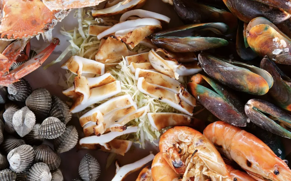 Việt Nam - Brazil thúc đẩy đàm phán FTA, mở rộng hợp tác thương mại song phương