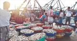 Ấn Độ xoay trục xuất khẩu thủy sản sau cú sốc thuế 50% từ Mỹ