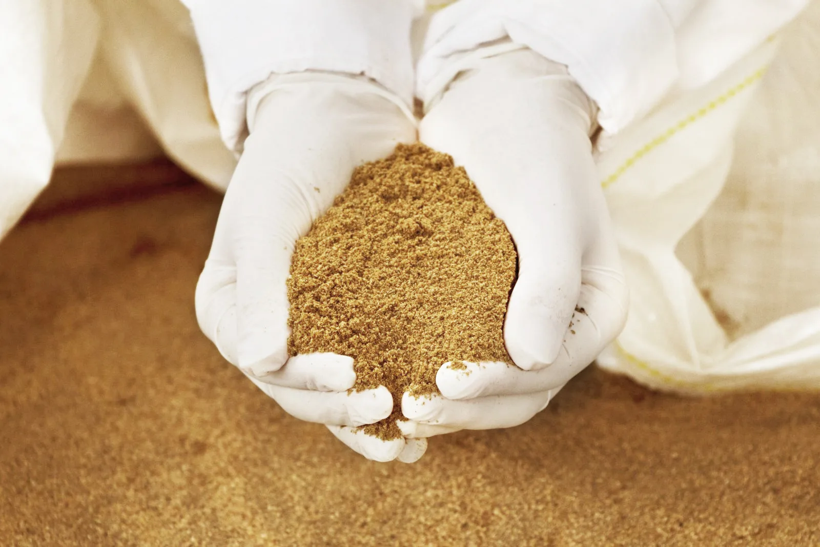 Giá bột cá Trung Quốc tăng mạnh sau khi Peru kết thúc sớm mùa đánh bắt