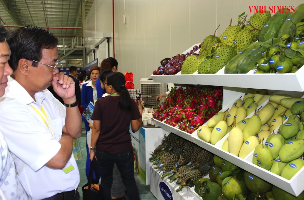 Tìm giải pháp để nông sản Việt mở lối ra lâu dài ở thị trường lớn