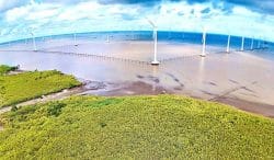 Cà Mau tính chuyện xuất khẩu điện sạch ra thế giới