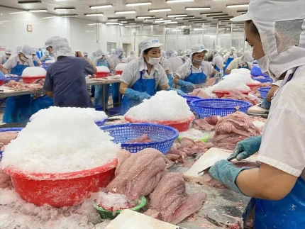 Cá thịt trắng xuất khẩu