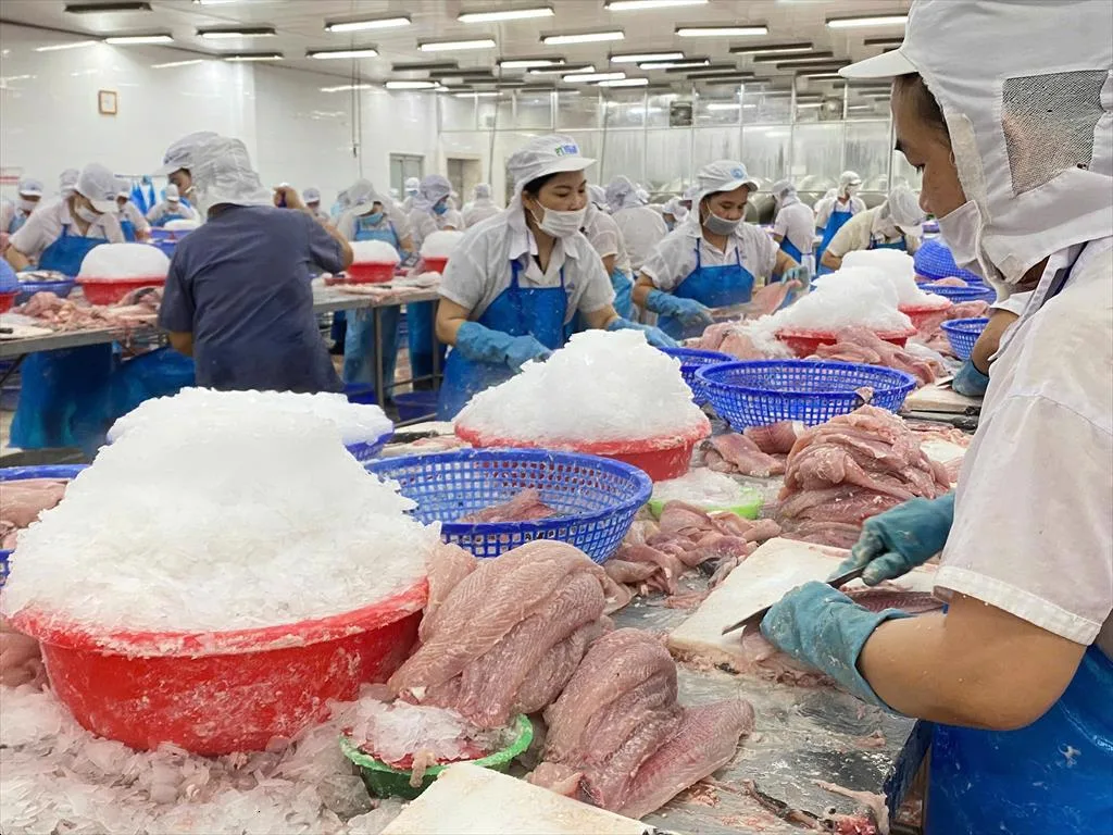 Trung Quốc và Việt Nam dẫn đầu về cung cấp cá thịt trắng cho Mỹ