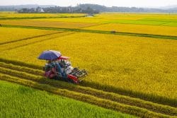 Việt Nam thành cường quốc xuất khẩu nông sản, nhiều mặt hàng dẫn đầu thế giới