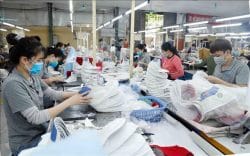 Xuất khẩu với hành trình vươn mình, khẳng định vị thế