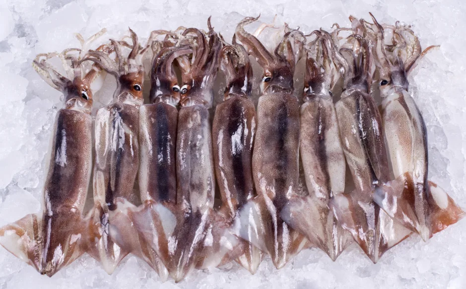 Sản phẩm chế biến sẵn giúp mực, bạch tuộc Việt Nam chiếm lĩnh thị trường Đông Á và ASEAN