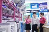 Thị trường điện lạnh “nóng” từ đầu hè