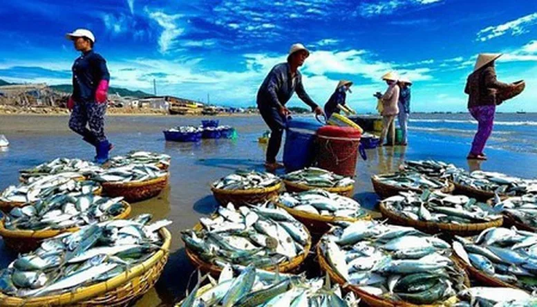 Thúc đẩy tiêu thụ thủy sản nội địa để cân bằng phát triển