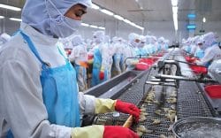 Cuộc “tập dượt” của thủy sản